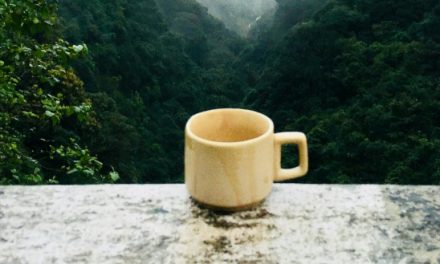Bio-Temi-Tee aus Sikkim von Teevent
