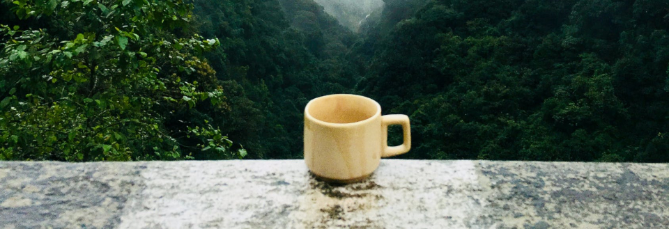 Bio-Temi-Tee aus Sikkim von Teevent